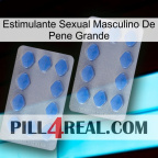 Big Penis Male Sexual Stimulant 20